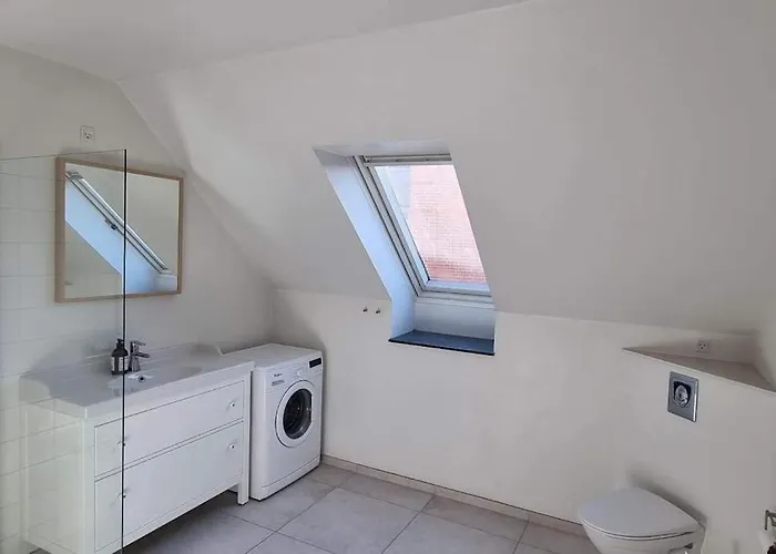 Newly Renovated, Great Location Aalborg